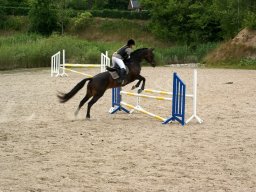 2012 Sommerturnering